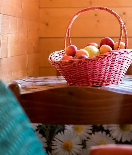 Campsite Glamping Villaggio Parco Dei Castagni 4 Stelle 4*