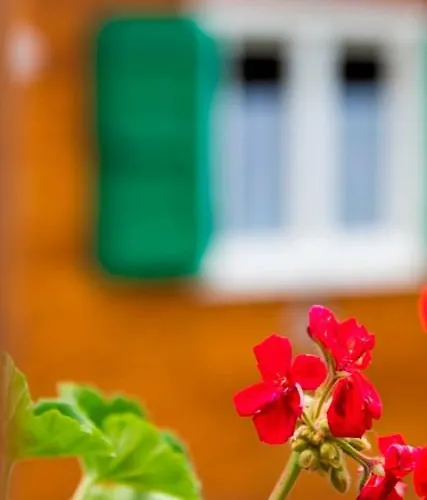 Glamping Villaggio Parco Dei Castagni 4 Stelle