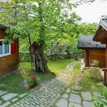 Glamping Villaggio Parco Dei Castagni 4 Stelle Camping Montecreto