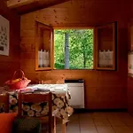 Kemping Glamping Villaggio Parco Dei Castagni 4 Stelle
