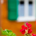Glamping Villaggio Parco Dei Castagni 4 Stelle