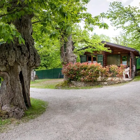 Glamping Villaggio Parco Dei Castagni 4 Stelle