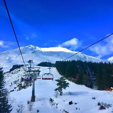 Camping Glamping Villaggio Parco Dei Castagni 4 Stelle Montecreto